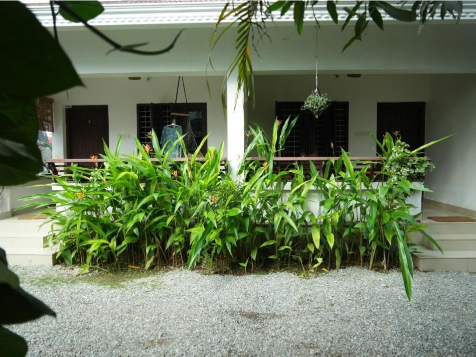 Mad About Coco Yoga & Beach Retreat Varkala Exterior photo