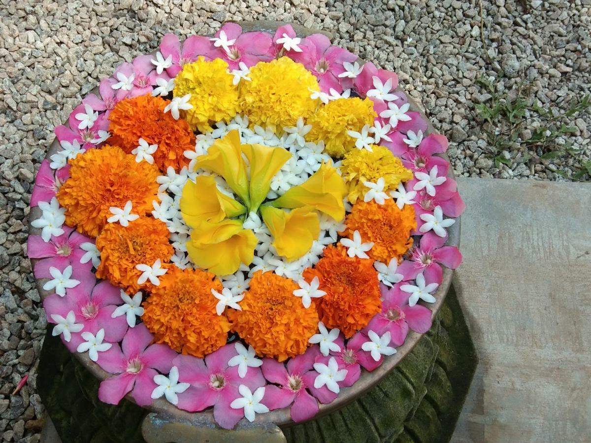 Mad About Coco Yoga & Beach Retreat Varkala Exterior photo